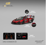 CM64-Mclaren SennaGTR-09